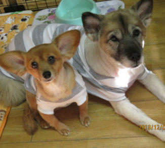 チャコちゃん・ミミちゃん